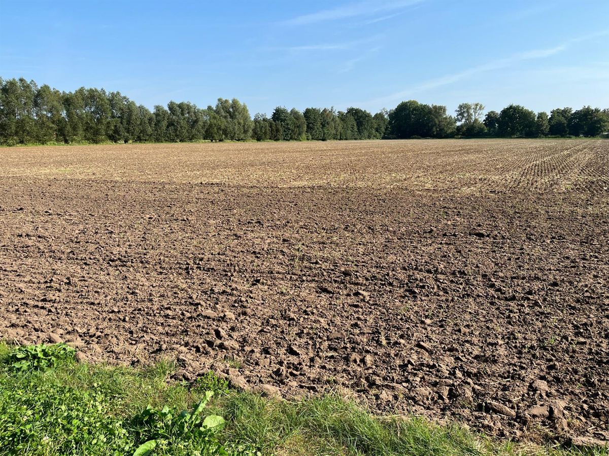 Land-/Forstwirtschaft zum Kauf 620.000 € 59.580 m²<br/>Grundstück Westenholz Delbrück 33129