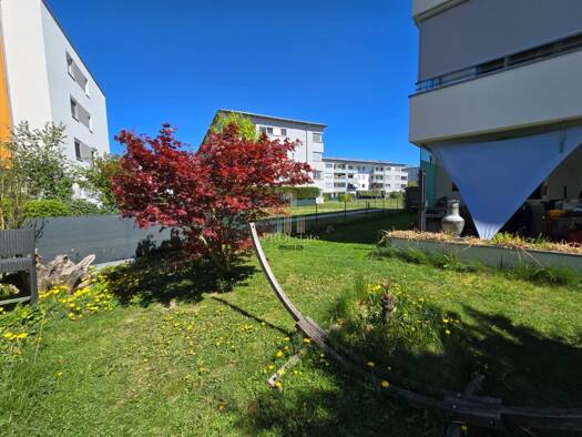 Wohnung zum Kauf 440.000 € 74,1 m² EG Wels Wels 4600