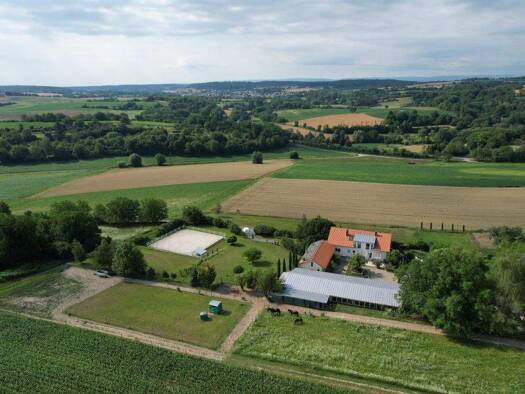 Einfamilienhaus zum Kauf 12 Zimmer 418 m² 13.738 m² Grundstück Weingarten 76356