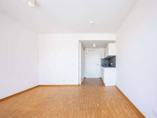 Wohnung zur Miete 435 € 1 Zimmer 25,6 m² frei ab 01.12.2026 Straubing Straubing 94315