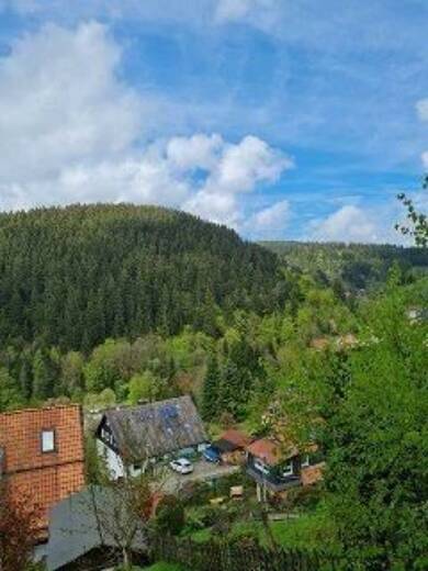 Maisonette zum Kauf provisionsfrei 149.000 € 7 Zimmer 140 m² EG frei ab sofort Seesenerstr.24 Wildemann Harz 38709