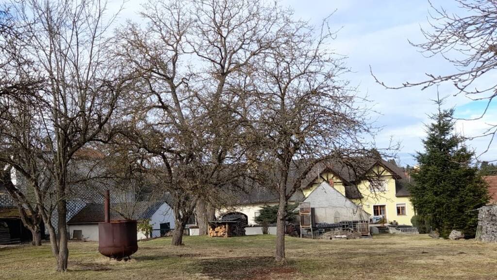 Einfamilienhaus zum Kauf 389.000 € 171 m² 2.614 m² Grundstück Berggasse 15 Groß-Siegharts 3812