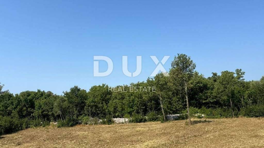 Land-/Forstwirtschaft zum Kauf 65.000 € Labin