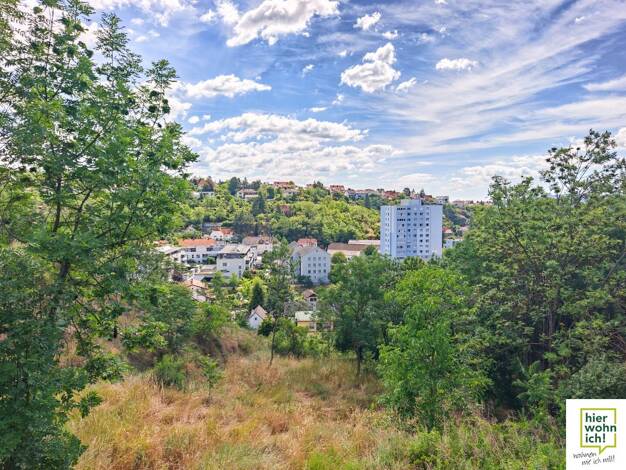 Grundstück zum Kauf 750.000 € 3.070 m² Grundstück Krems an der Donau Krems an der Donau 3500