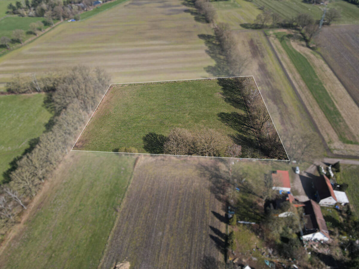 Land-/Forstwirtschaft zum Kauf - Ansicht 3