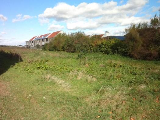 Grundstück zum Kauf 590.000 € 2.141 m² Grundstück Gols 7122