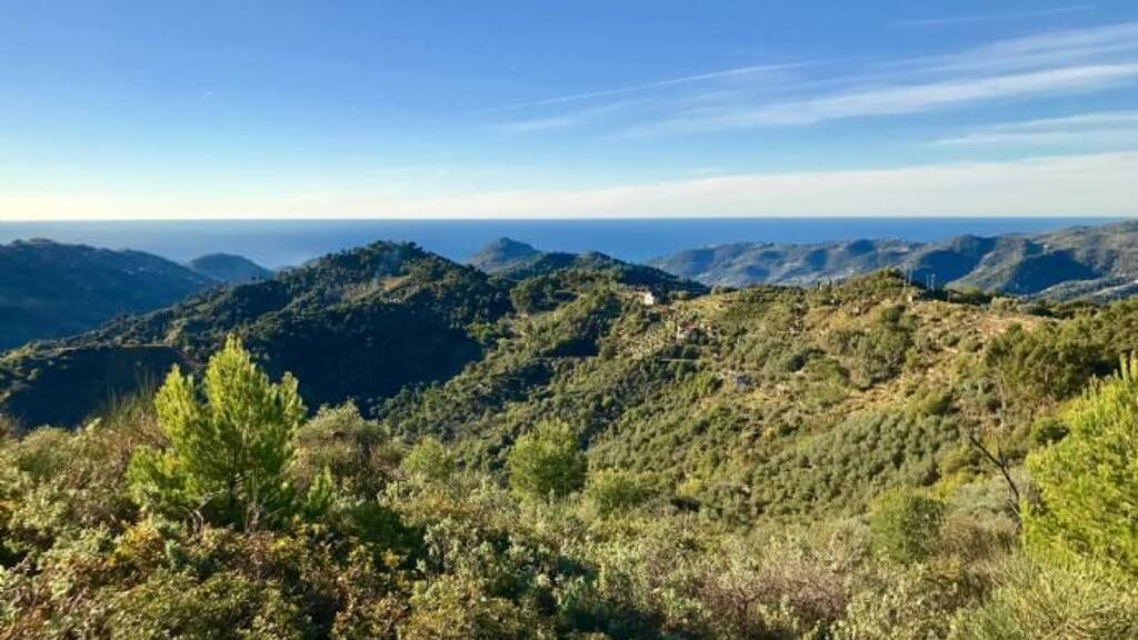 Grundstück zum Kauf 125.000 € 14.589 m² Grundstück Baugenehmigung vorhanden Perinaldo