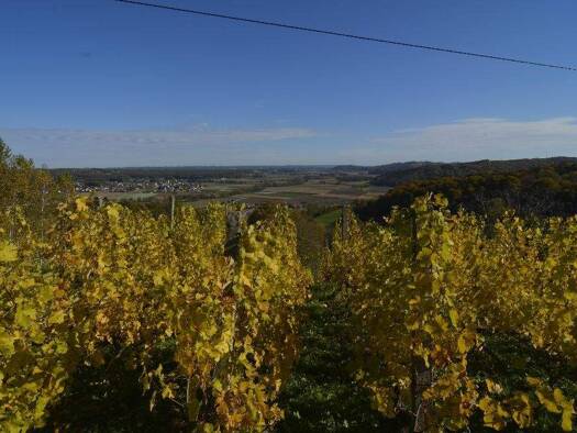 Land-/Forstwirtschaft zum Kauf 330.000 € Fürstenfeld, Südoststeiermark, Vulkanland, Thermen 8280