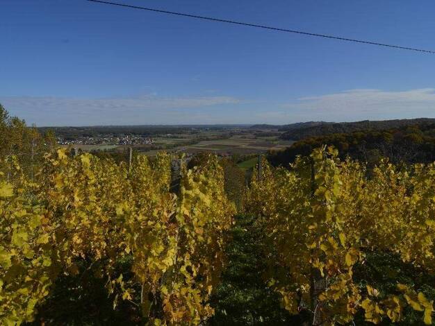 Land-/Forstwirtschaft zum Kauf 330.000 € Fürstenfeld, Südoststeiermark, Vulkanland, Thermen 8280