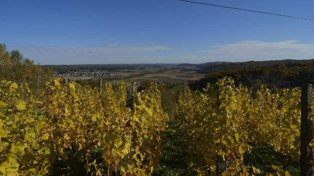 Land-/Forstwirtschaft zum Kauf 330.000 € Fürstenfeld, Südoststeiermark, Vulkanland, Thermen 8280