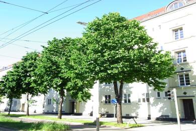 Wohnung zur Miete 722 € 2 Zimmer 51,9 m² Dachgeschoss, 4. Geschoss Delitzscher Straße 142 Eutritzsch Leipzig 04129