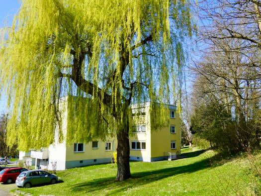 Wohnung zum Kauf 195.000 € 2 Zimmer 55,8 m² 2. Geschoss Weingartshof Ravensburg 88214