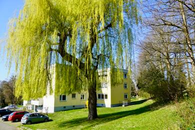 Wohnung zum Kauf 195.000 € 2 Zimmer 55,8 m² 2. Geschoss Weingartshof Ravensburg 88214