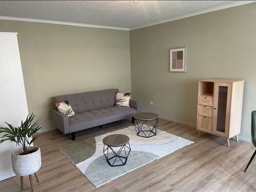 Wohnung zur Miete 850 € 1 Zimmer 34 m² frei ab 01.04.2026 Fürstenberg Konstanz 78467