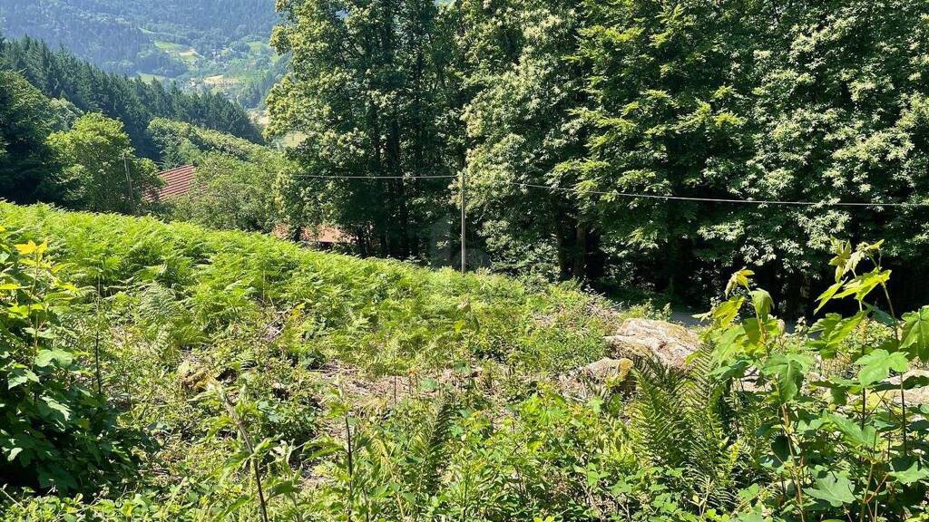 Grundstück zum Kauf 135.000 € 1.585 m² Grundstück Furschenbach Ottenhöfen im Schwarzwald 77883