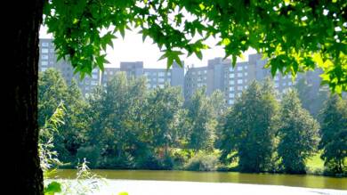 Wohnung zur Miete 442 € 2 Zimmer 37,5 m² 10. Geschoss frei ab 01.08.2025 Gruberstraße 12 Kranichstein - Süd Darmstadt 64289