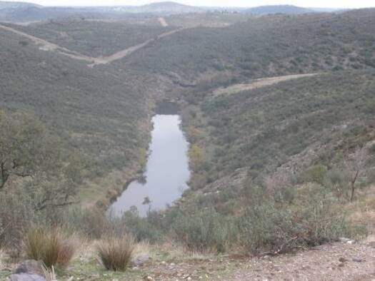 Bauernhaus zum Kauf 5.600.000 € 12 Zimmer 400 m² 1.146.000 m² Grundstück Rosal de la Frontera 21250