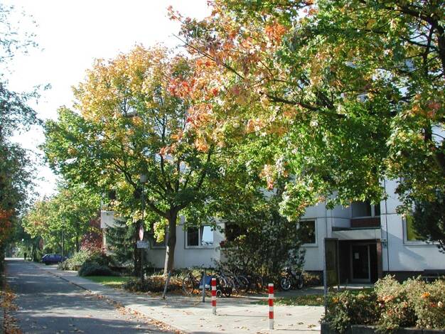 Wohnung zur Miete 521 € 2 Zimmer 51,2 m² 1. Geschoss frei ab 18.06.2025 Dehnckestr. 1A Schreventeich Kiel 24116