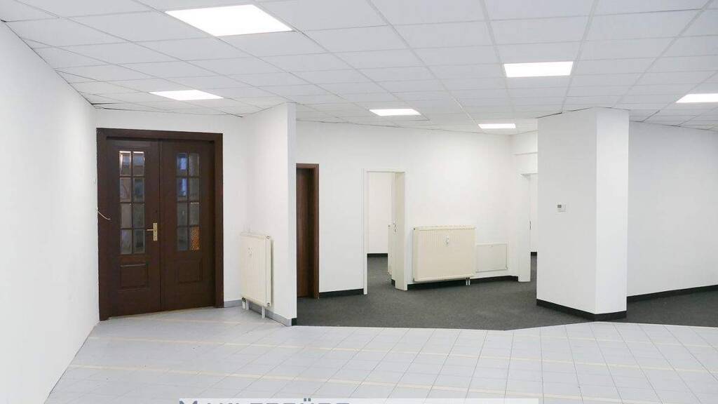 Verkaufsfläche zur Miete 800 € 226 m² Verkaufsfläche Greiz 07973