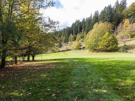 Einfamilienhaus zum Kauf 1.190.000 € 12 Zimmer 600 m² 12.000 m² Grundstück Müllenbach Baden-Baden 76534