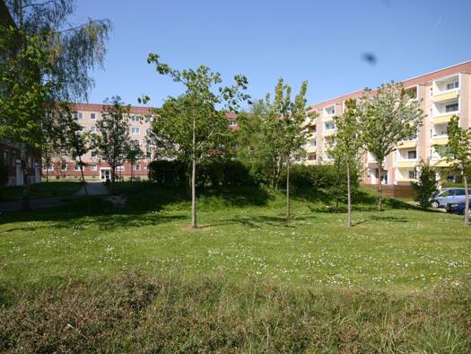 Wohnung zur Miete 226 € 1 Zimmer 34,1 m² 1. Geschoss frei ab 01.12.2026 Am Hirtenberg 5 Hohenmölsen Hohenmölsen 06679