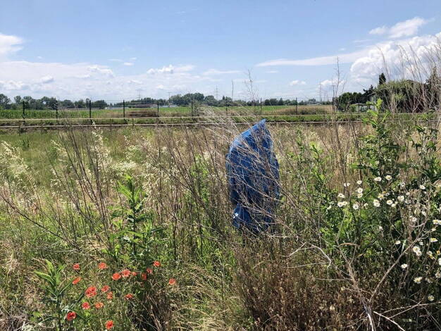 Grundstück zum Kauf provisionsfrei 493 m² Grundstück Hördt 76771