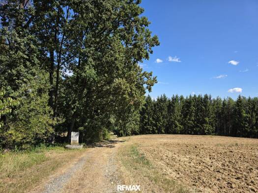 Land-/Forstwirtschaft zum Kauf 6.000 € 4.614 m² Grundstück Deutsch Kaltenbrunn 7572