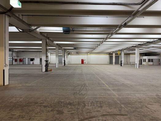 Lagerhalle zur Miete 5.500 m² Lagerfläche Bad Oldesloe 23843