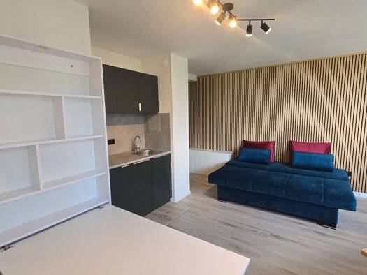 Wohnung zur Miete 1.050 € 1 Zimmer 26 m² EG frei ab sofort Aubing-Lochhausen-Langwied München 81243