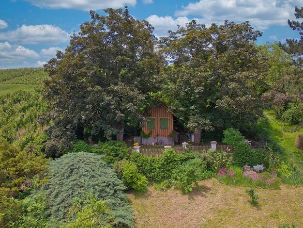 Freizeitgrundstück zum Kauf 120.000 € 2.400 m² Grundstück Bad Cannstatt Stuttgart 70376