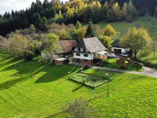 Bauernhaus zum Kauf 690.000 € 7 Zimmer 153 m² 32.500 m² Grundstück Biberach Biberach/Baden 77781