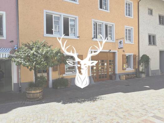 Ladenfläche zur Miete 800 € 80 m² Verkaufsfläche Wallstraße 7 Waldshut Waldshut-Tiengen 79761