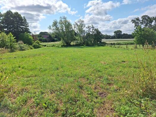 Grundstück zum Kauf 265.000 € 2.920 m² Grundstück Groß Schönwalde Greifswald 17491
