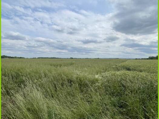 Land-/Forstwirtschaft zum Kauf 300.000 € 21.363 m² Grundstück Osterflierich Hamm 59069