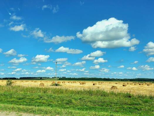 Bauernhof zum Kauf Daun 54550