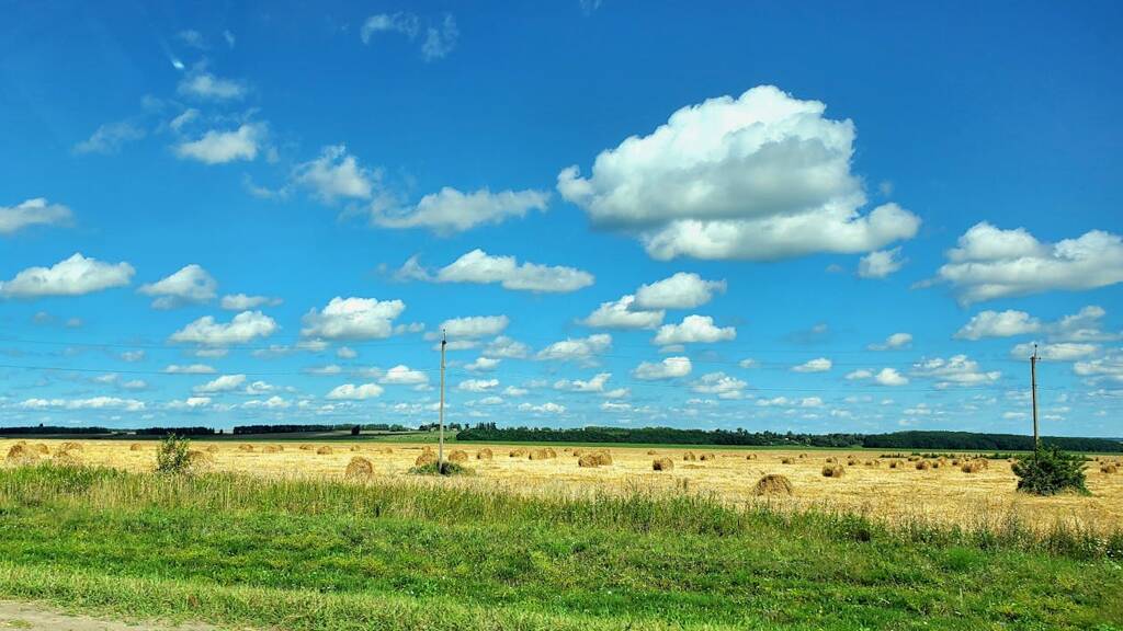 Bauernhof zum Kauf Daun 54550