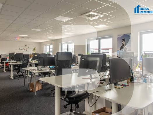 Bürofläche zur Miete 1.800 € 240 m² Bürofläche Randlstraße 18a Pasching 4061