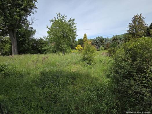 Grundstück zum Kauf 45.000 € 1.800 m² Grundstück Ebersbach Ebersbach-Neugersdorf 02730