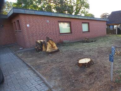 Einfamilienhaus zur Miete 790 € 5 Zimmer 118 m² 502 m² Grundstück frei ab sofort Süderbrook Lemwerder 27809
