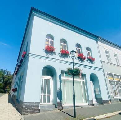 Mehrfamilienhaus zum Kauf 268.000 € 6 Zimmer 190 m² 210 m² Grundstück Oelsnitz Oelsnitz/Vogtland 08606