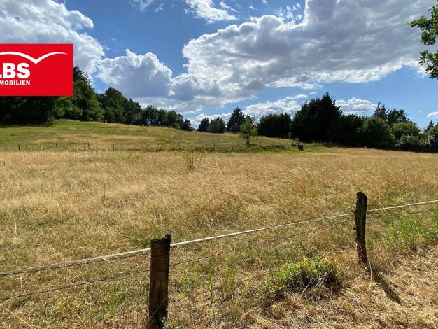 Land-/Forstwirtschaft zum Kauf 75.000 € 15.654 m² Grundstück Riesenbeck Hörstel 48477