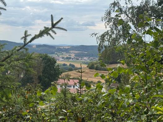 Berghütte zum Kauf 225.000 € 4,5 Zimmer 2.000 m² Grundstück frei ab 01.10.2026 Neuthierling Schorndorf 93489