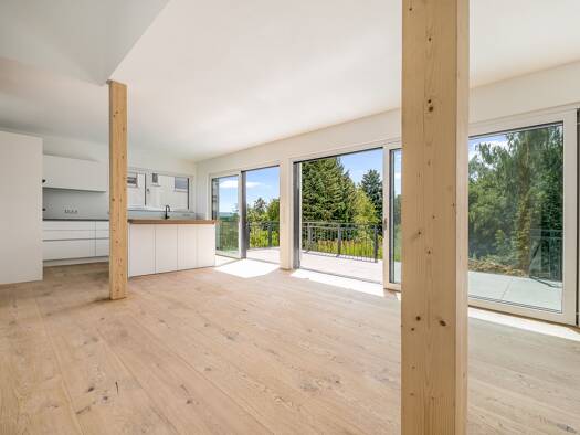 Einfamilienhaus zum Kauf - Erstbezug 1.250.000 € 8,5 Zimmer 277 m² 1.949 m² Grundstück Gniebel Pliezhausen 72124