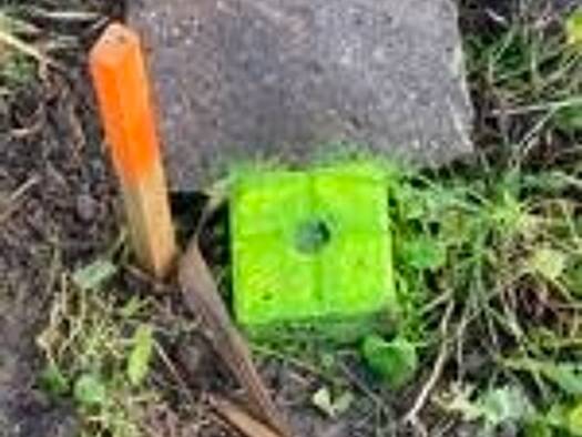 Grundstück zum Kauf 145.275 € 745 m² Grundstück Wesselburen 25764