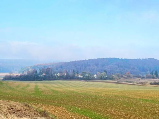 Landwirtschaftliche Fläche zum Kauf provisionsfrei 1.990.000 € 103.671 m² Grundstück Waldsiedlung Thaldorf Kelheim 93309