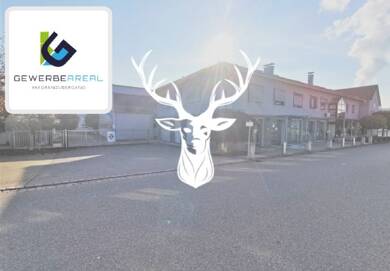 Büro-/Praxisfläche zur Miete 732 m² Bürofläche Waldshut Waldshut-Tiengen 79761