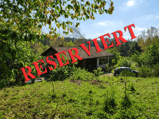 Einfamilienhaus zum Kauf provisionsfrei 129.000 € 4 Zimmer 100 m² 7.000 m² Grundstück frei ab 03.04.2027 Kämmerlein Wilhelmsthal 96352
