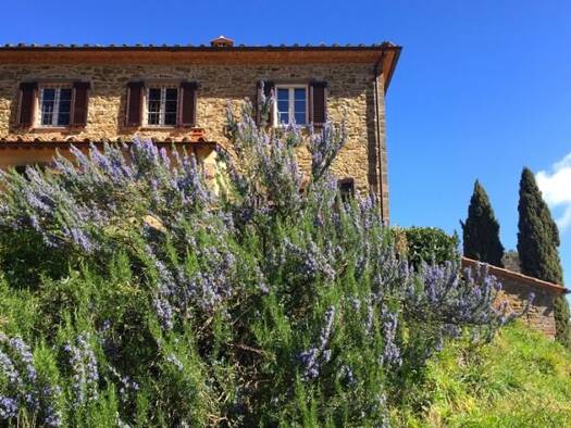 Bauernhaus zum Kauf 890.000 € 8 Zimmer 250 m² 50.000 m² Grundstück frei ab sofort Pisa