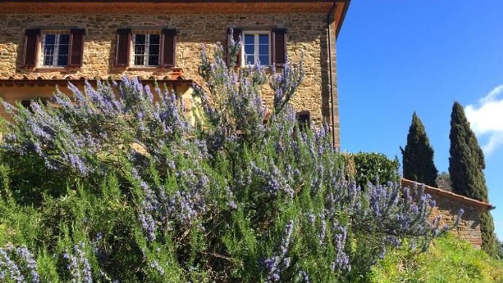 Bauernhaus zum Kauf 890.000 € 8 Zimmer 250 m² 50.000 m² Grundstück frei ab sofort Pisa