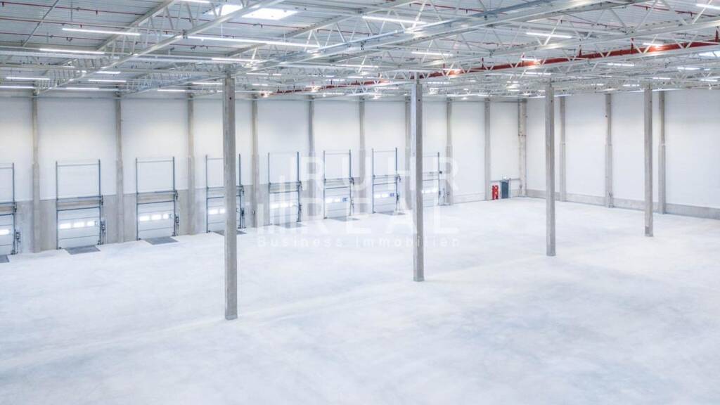 Lagerhalle zur Miete 9.100 m² Lagerfläche teilbar ab 9.100 m² Stürzelberg Dormagen 41541